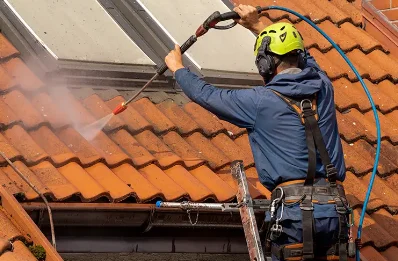 Démoussage et hydrofuge de toiture à Dosnon